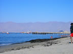 Mejillones Antofagasta Chile