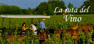 turismo en la ruta del vino chileno